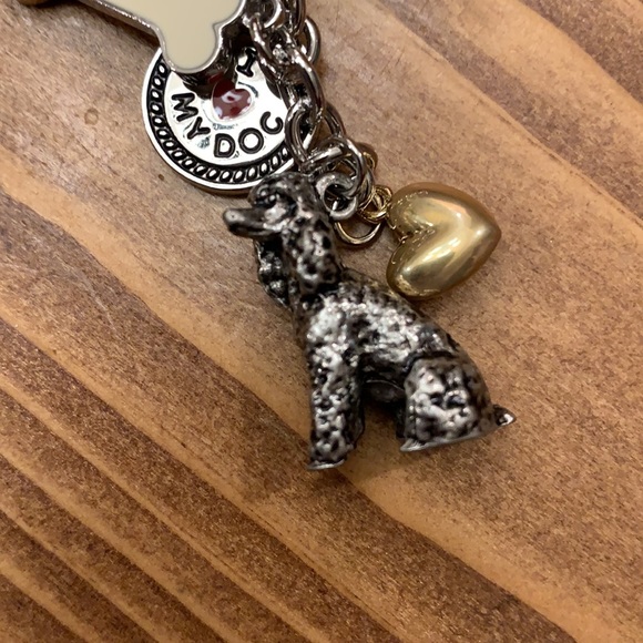 Poodle 🐩 bundle - Picture 11 of 13